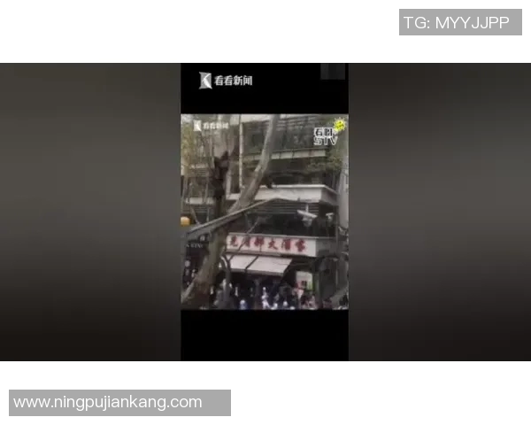 【深度解析】三分王近况+未来走势预测